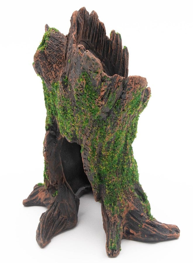 AQUA KT Aquarium Landscape Tree Stump Trunk Hollow Betta Cichlid Cave Rocks for Fish Hiding Tank Decoration Decorations - Image 4